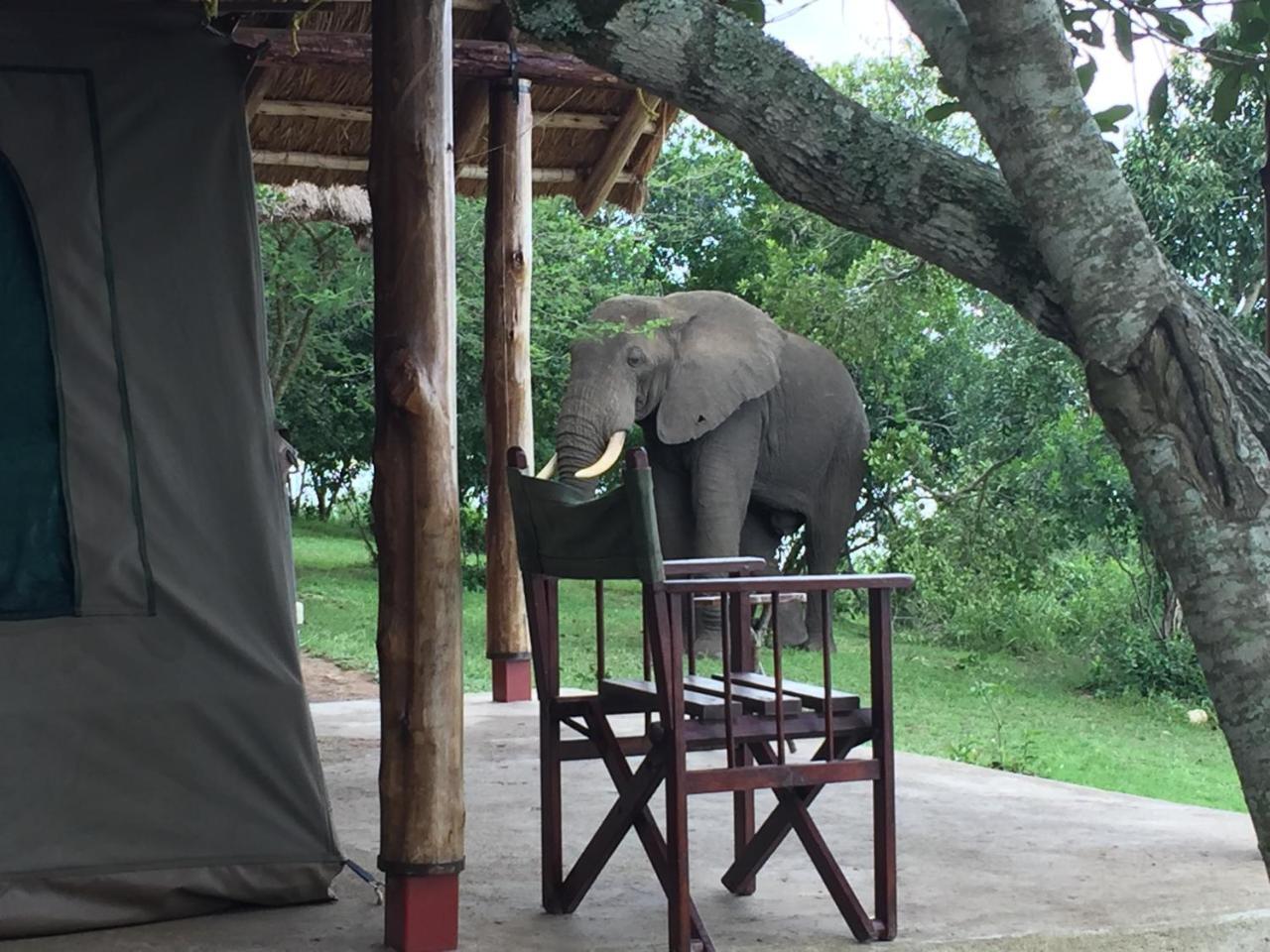 Queen Elizabeth Bush Lodge By Nature Lodges Ltd Katunguru Eksteriør bilde